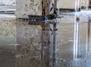 Hochwasser in einem verlassenen Gebäude mit beschädigten Wänden und stehenden Wasserpfützen auf dem Boden.